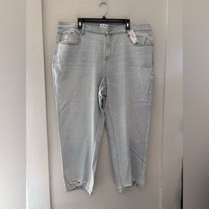 Lane Bryant Authentic Straight Leg Light Wash Jeans‎ Size 20 NWT